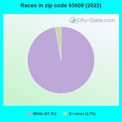 Races in zip code 65609 (2022)