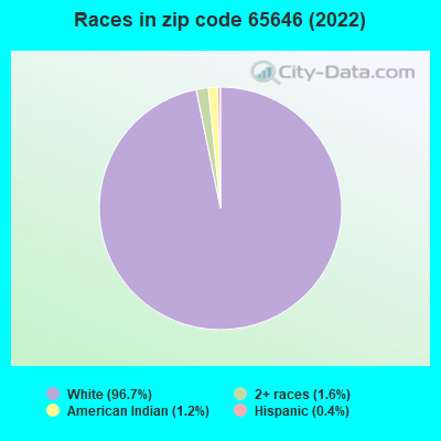 Races in zip code 65646 (2022)