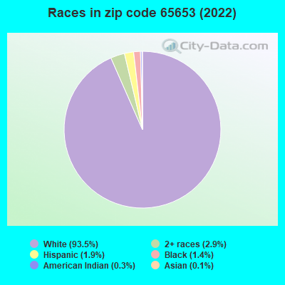 Races in zip code 65653 (2022)
