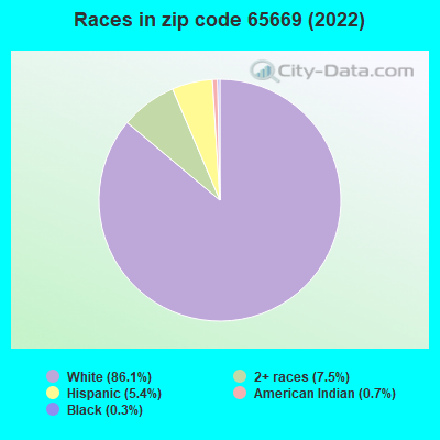 Races in zip code 65669 (2022)
