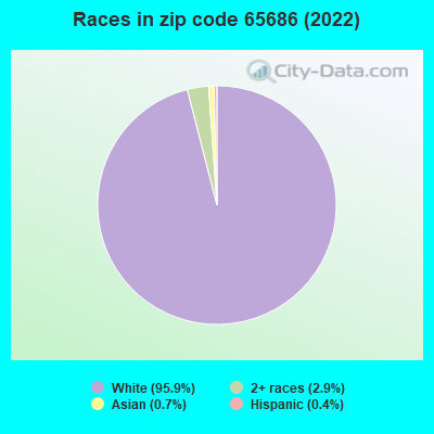 Races in zip code 65686 (2022)