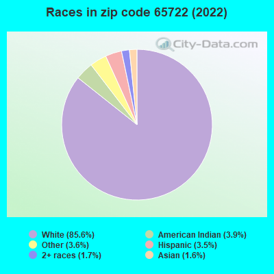 Races in zip code 65722 (2022)