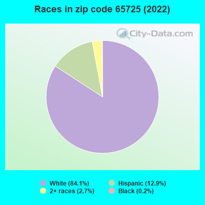 Races in zip code 65725 (2022)