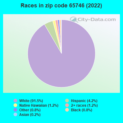 Races in zip code 65746 (2022)