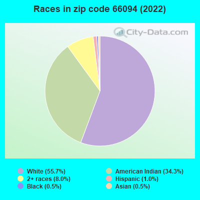 Races in zip code 66094 (2022)