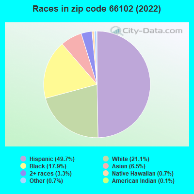 Races in zip code 66102 (2022)