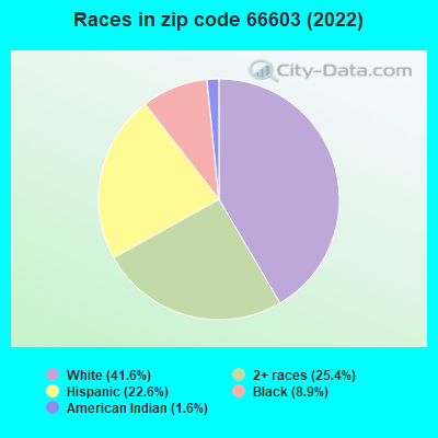 Races in zip code 66603 (2022)