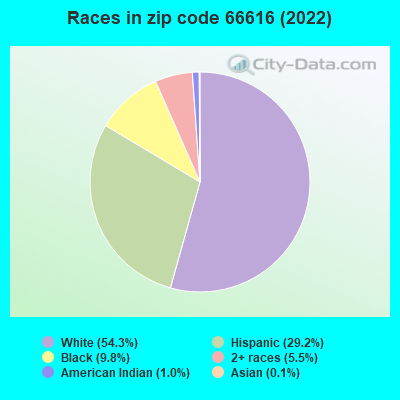 Races in zip code 66616 (2022)
