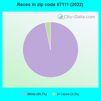 Races in zip code 67111 (2022)