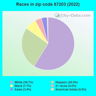 Races in zip code 67203 (2019)
