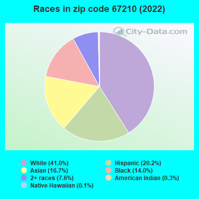 Races in zip code 67210 (2022)