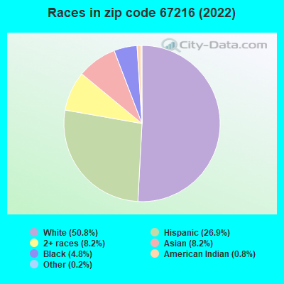 Races in zip code 67216 (2022)