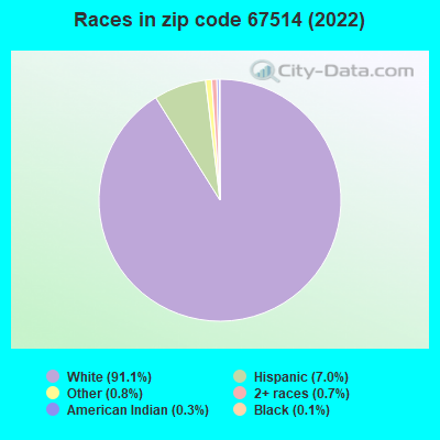 Races in zip code 67514 (2022)