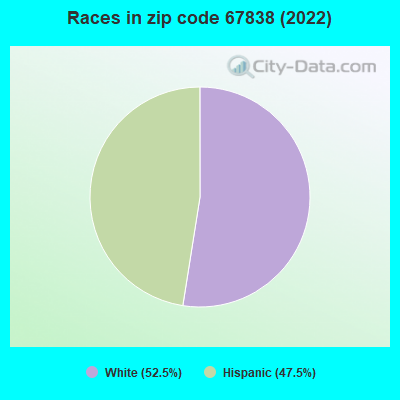 Races in zip code 67838 (2022)