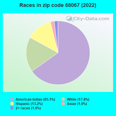 Races in zip code 68067 (2022)