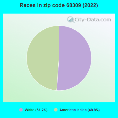 Races in zip code 68309 (2022)