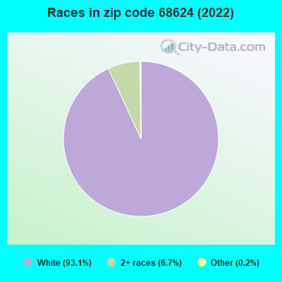 Races in zip code 68624 (2022)