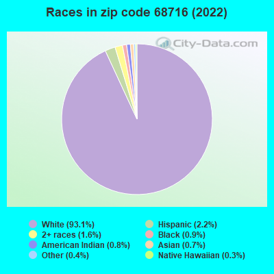 Races in zip code 68716 (2022)