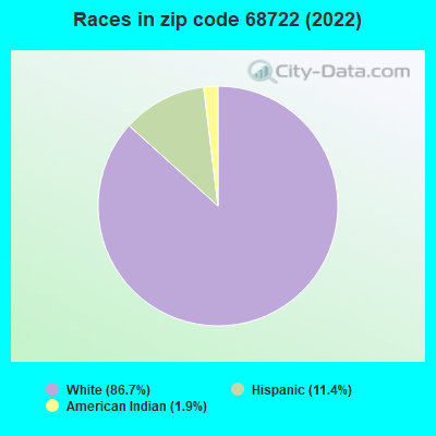 Races in zip code 68722 (2022)