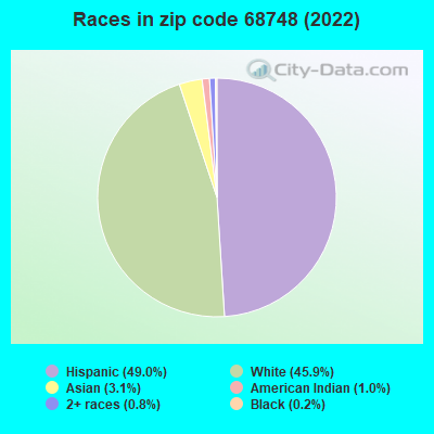 Races in zip code 68748 (2022)