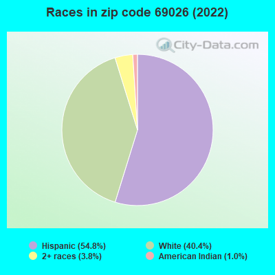Races in zip code 69026 (2022)