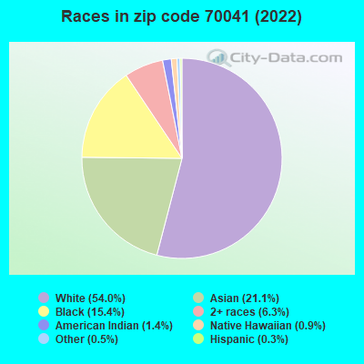 Races in zip code 70041 (2022)