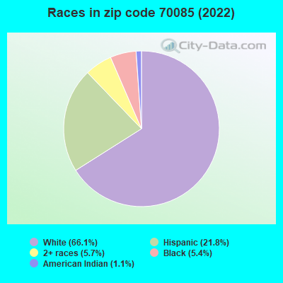 Races in zip code 70085 (2019)