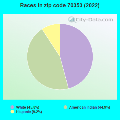 Races in zip code 70353 (2022)