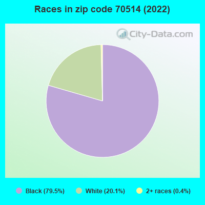 Races in zip code 70514 (2022)