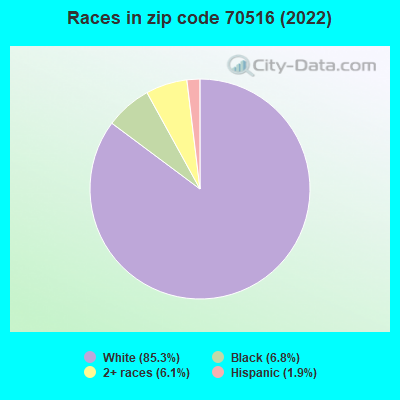 Races in zip code 70516 (2022)