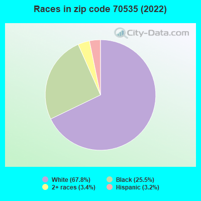 Races in zip code 70535 (2022)