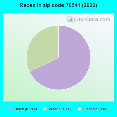 Races in zip code 70541 (2022)