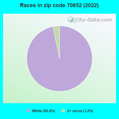 Races in zip code 70652 (2022)