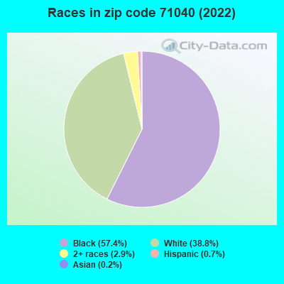 Races in zip code 71040 (2022)