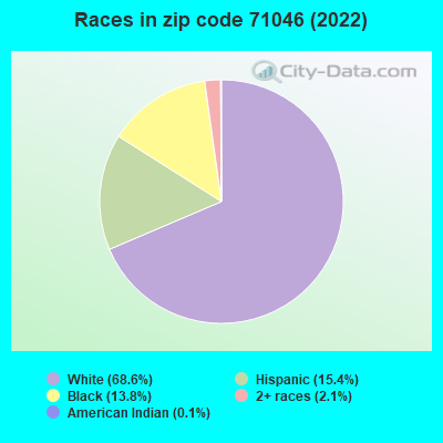 Races in zip code 71046 (2022)