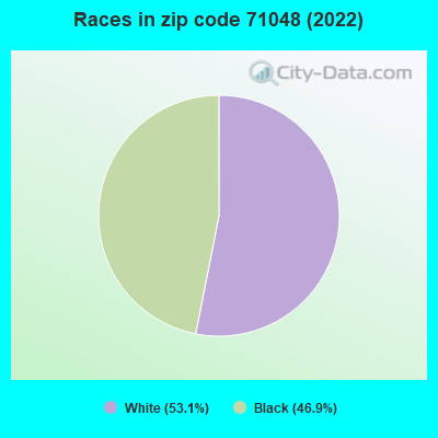 Races in zip code 71048 (2022)
