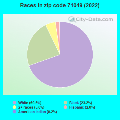 Races in zip code 71049 (2022)