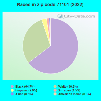 Races in zip code 71101 (2022)