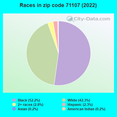 Races in zip code 71107 (2022)
