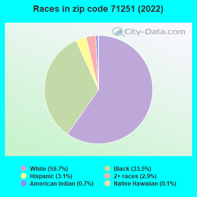 Races in zip code 71251 (2022)