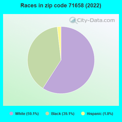 Races in zip code 71658 (2022)