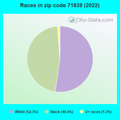 Races in zip code 71838 (2022)