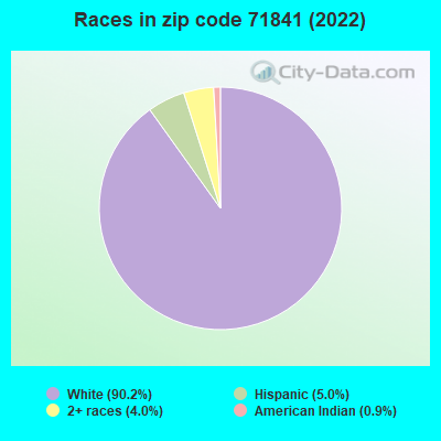 Races in zip code 71841 (2022)