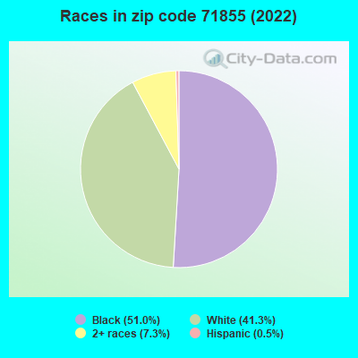 Races in zip code 71855 (2022)