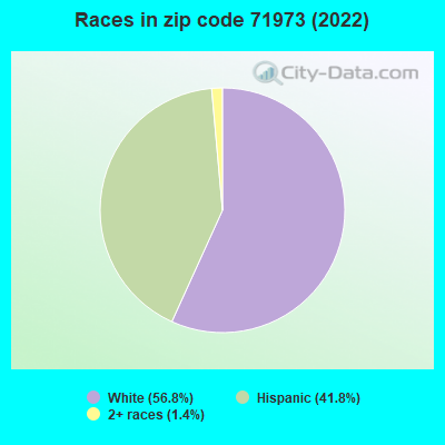 Races in zip code 71973 (2022)