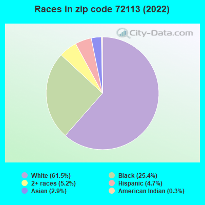 Races in zip code 72113 (2022)