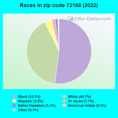 Races in zip code 72168 (2022)