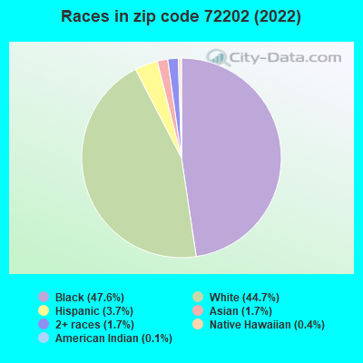 Races in zip code 72202 (2022)