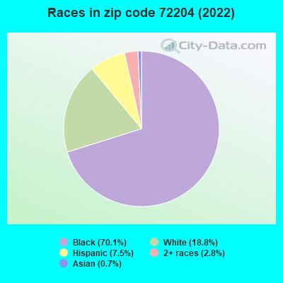 Races in zip code 72204 (2022)