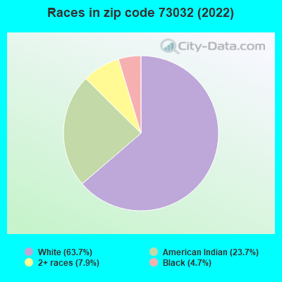 Races in zip code 73032 (2022)